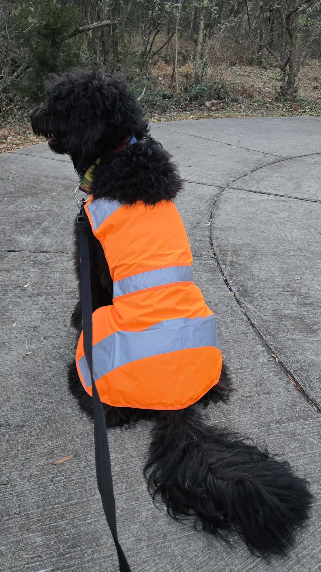 Dog Jacket High Visibility Safety Reflective Dog Vest for Small Medium Large Dogs (Large, Orange) customer photo 1