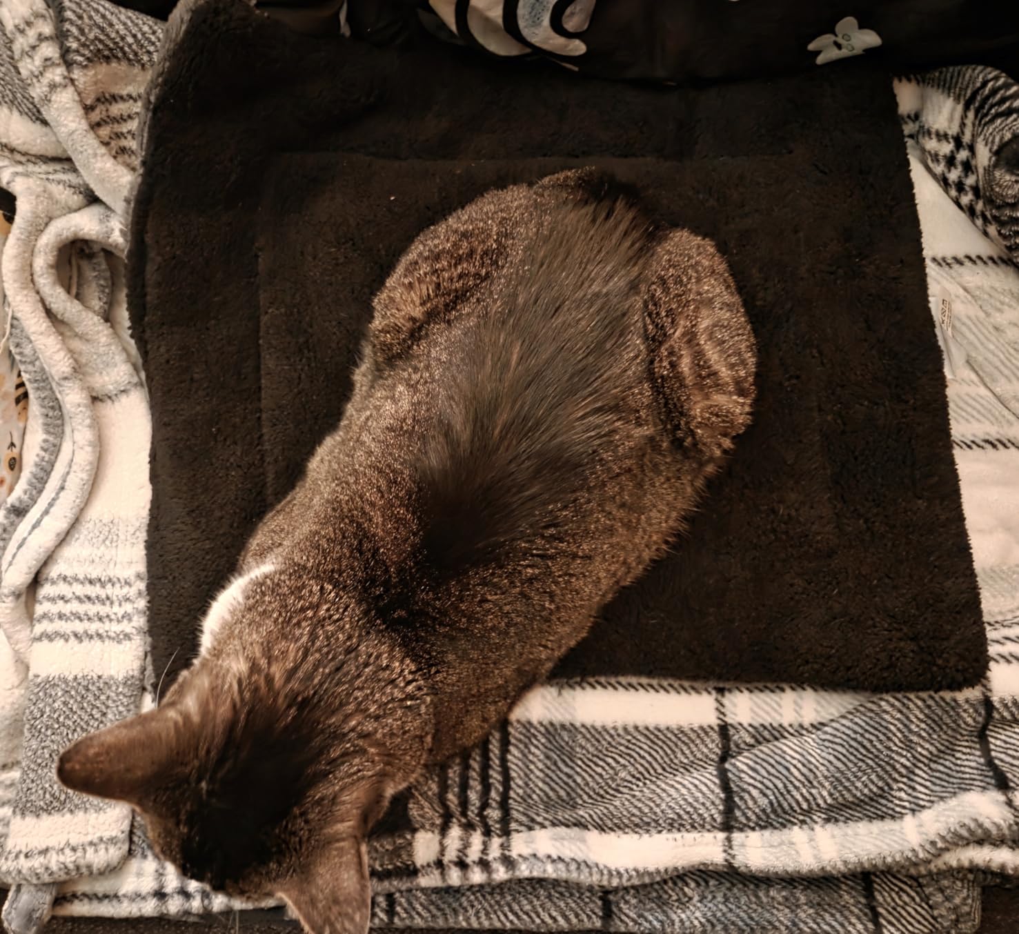K&H PET PRODUCTS Self-Warming Cat Bed Pad, Self Heating Pad for Outdoor Cat Houses, Warming Mat for Indoor Pet Beds & Furniture, Reversible Blanket, Machine Washable - Small 21 X 17in Gray/Black customer photo 1