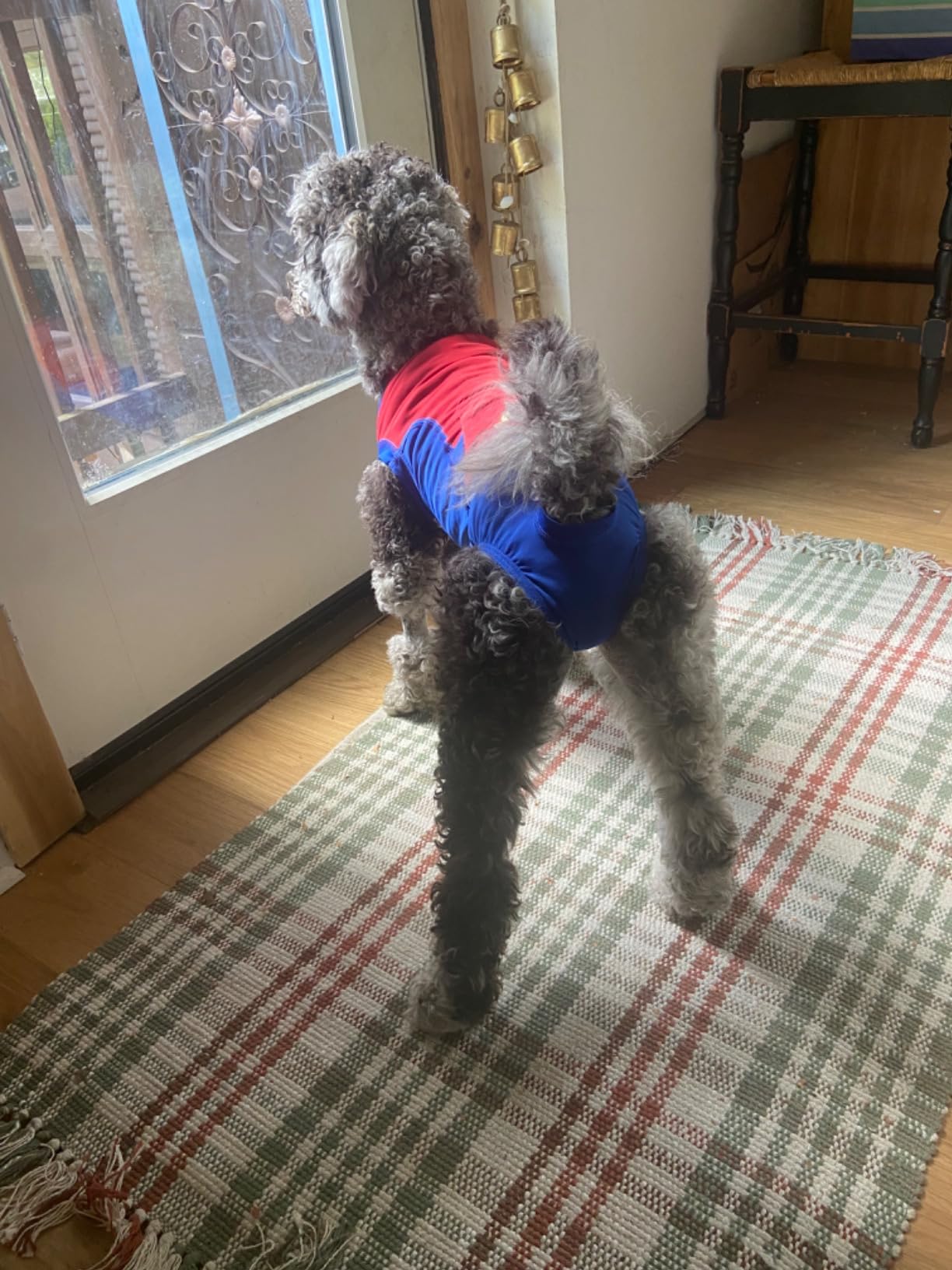 Surgi Snuggly Dog Surgery Recovery Suit, Cone Alternative, Spay/Neuter LL customer photo 2