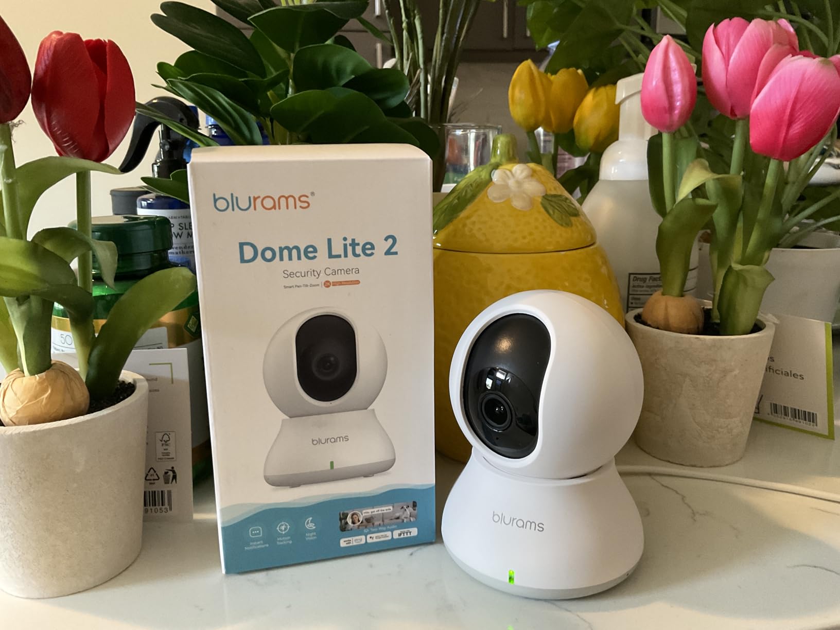 Security Camera 2K, blurams Baby Monitor Dog Camera 360-degree for Home Security w/Smart Motion Tracking, Phone App, IR Night Vision, Siren, Works with Alexa & Google Assistant & IFTTT, 2-Way Audio customer photo 2