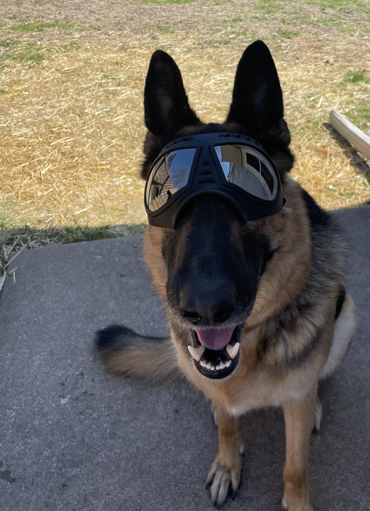 Namsan Dog Goggles for Large Dogs, Wide Snout & Soft Frame, Tactical Driving Sunglasses for Dogs Medium to Large Breed, Anti-UV Dog Eye Protection, Windproof Dustproof, Adjustable, Black customer photo 1