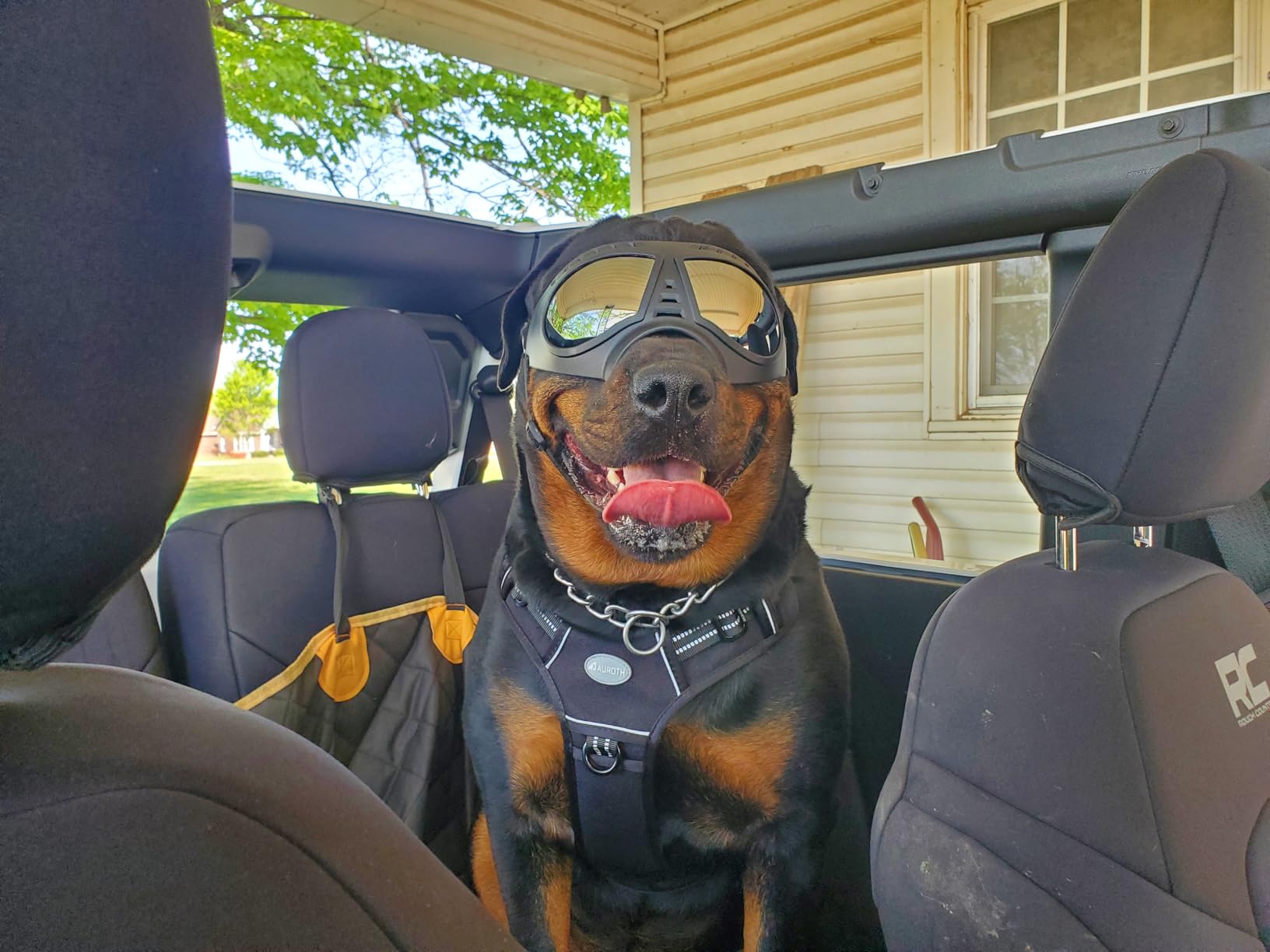 Namsan Dog Goggles for Large Dogs, Wide Snout & Soft Frame, Tactical Driving Sunglasses for Dogs Medium to Large Breed, Anti-UV Dog Eye Protection, Windproof Dustproof, Adjustable, Black customer photo 2