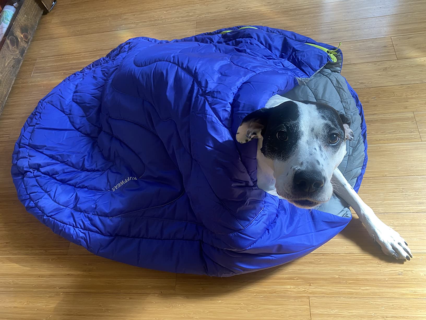 Ruffwear, Highlands Dog Sleeping Bag, Water-Resistant Portable Dog Bed for Outdoor Use, Huckleberry Blue, Large customer photo 1