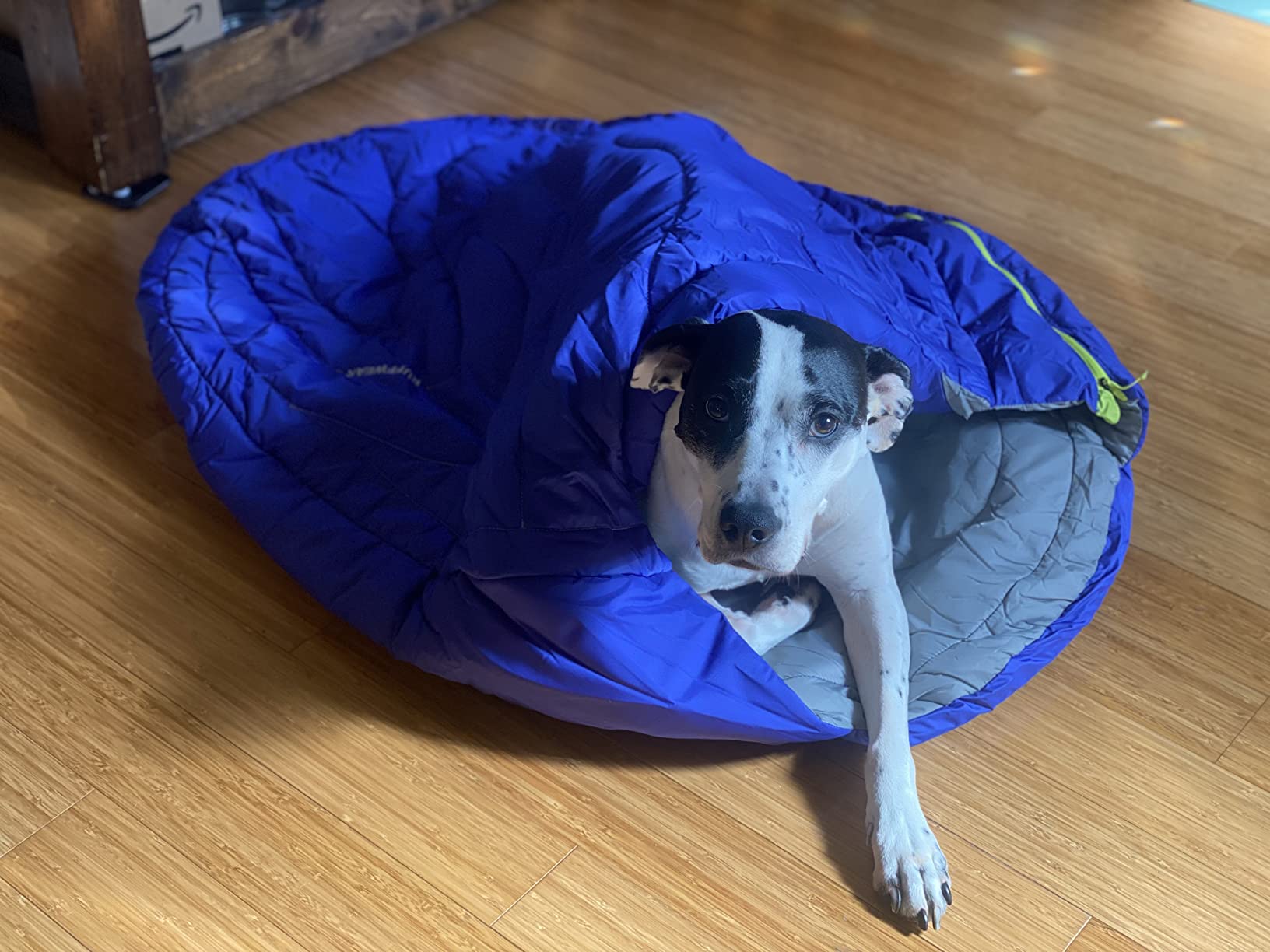 Ruffwear, Highlands Dog Sleeping Bag, Water-Resistant Portable Dog Bed for Outdoor Use, Huckleberry Blue, Large customer photo 2