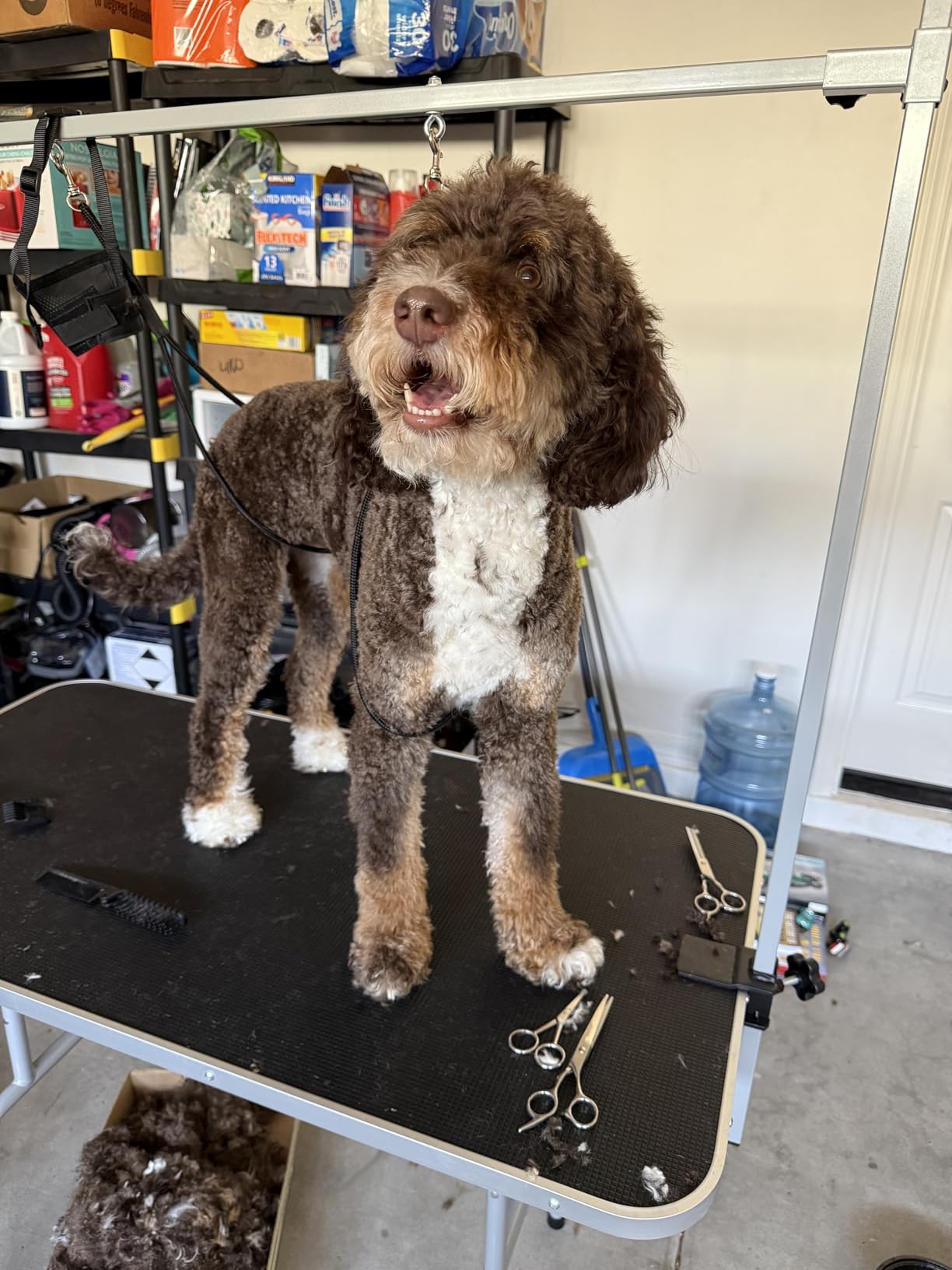 Yaheetech 46'' Dog Grooming Table for Large Medium Dogs at Home, Black | Portable Pet Grooming Table with Arm & Nooses, Foldable Design, Non-Slip Surface, Mesh Storage Tray, 264lbs Capacity customer photo 1