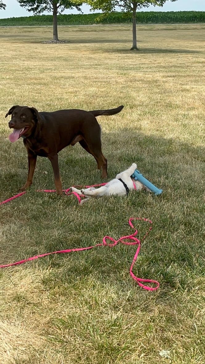 Viper Biothane K9 Working Dog Leash Waterproof Lead for Tracking Training Schutzhund Odor-Proof Long Line with Solid Brass Snap for Puppy Medium and Large Dogs Coyote Brown customer photo 1