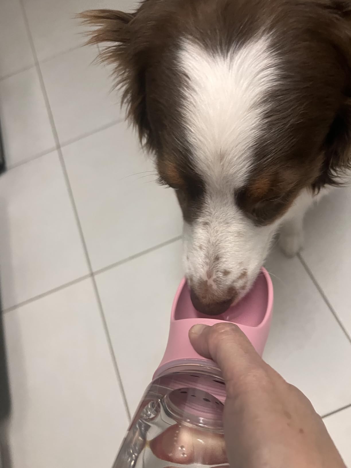 Kalimdor Dog Water Bottle, Leak Proof Portable Puppy Water Dispenser with Drinking Feeder for Pets Outdoor Walking, Hiking, Travel, Food Grade Plastic (19oz Blue) customer photo 2