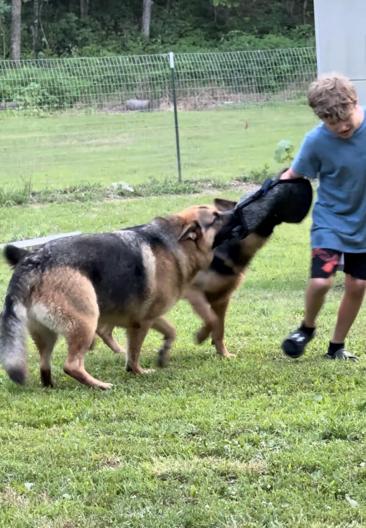 Morezi Dog Bite Sleeve Training Protection, Heavy Duty Nylon Durable, Fit Pit Bull German Shepherd Malinois, Puppy Small Dogs Training Biting Tugging War Toy - Black customer photo 1