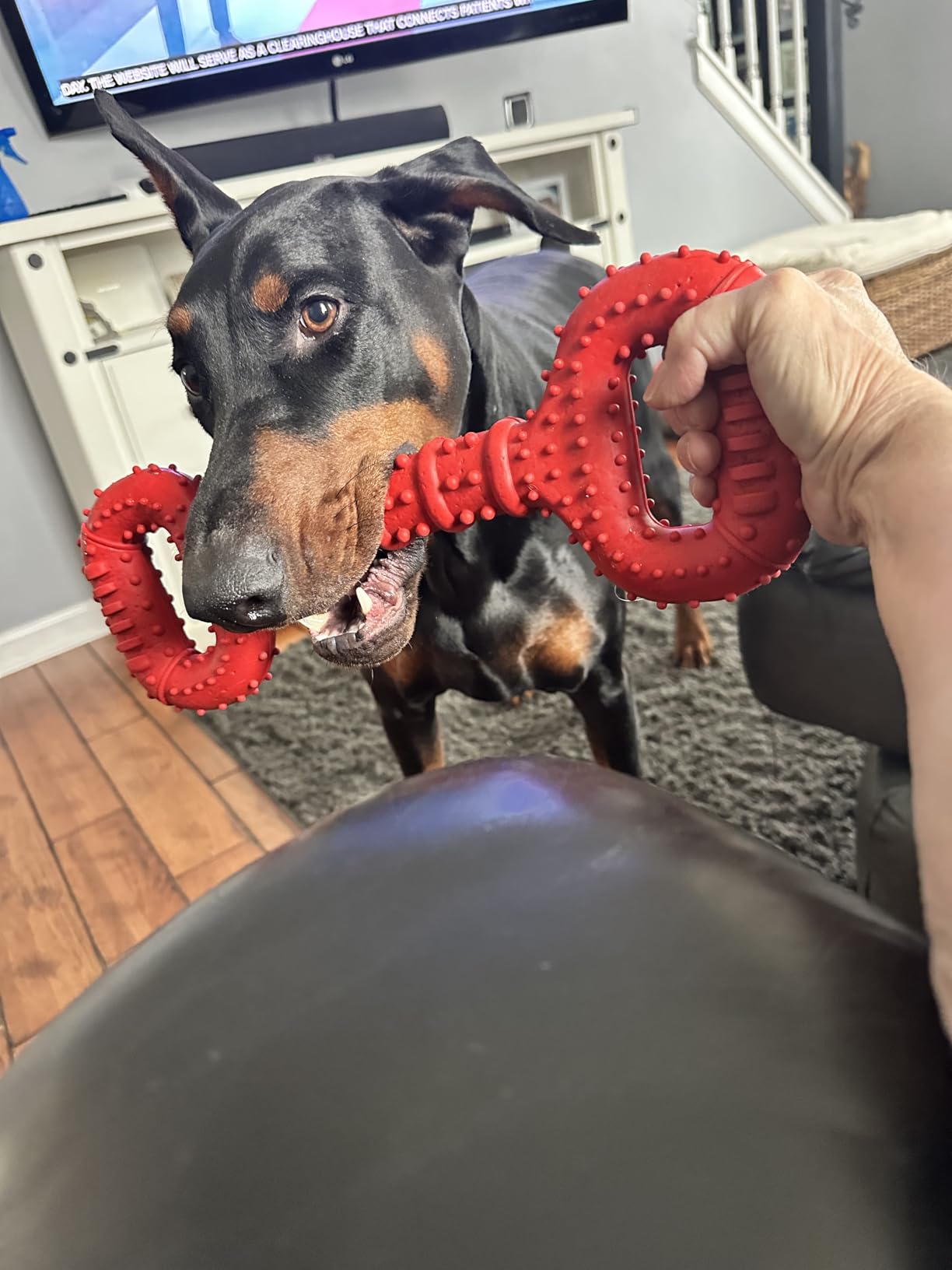 Feeko Dog Toys for Aggressive Chewers customer photo 1