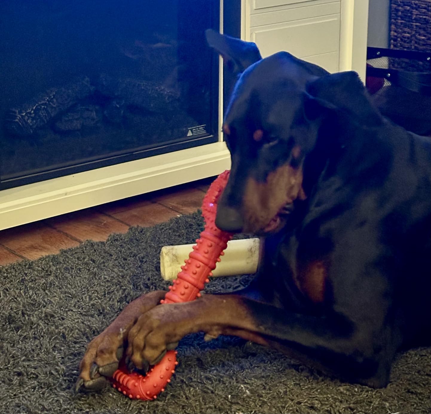 Feeko Dog Toys for Aggressive Chewers customer photo 2