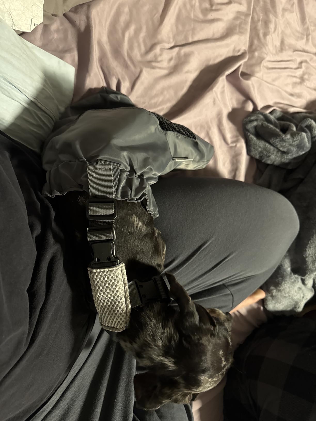 derYEP Dog Drag Bag Durable Indoor for paralyzed Disabled Back Rear Legs Dog Protects Chest and Limbs (S) customer photo 1