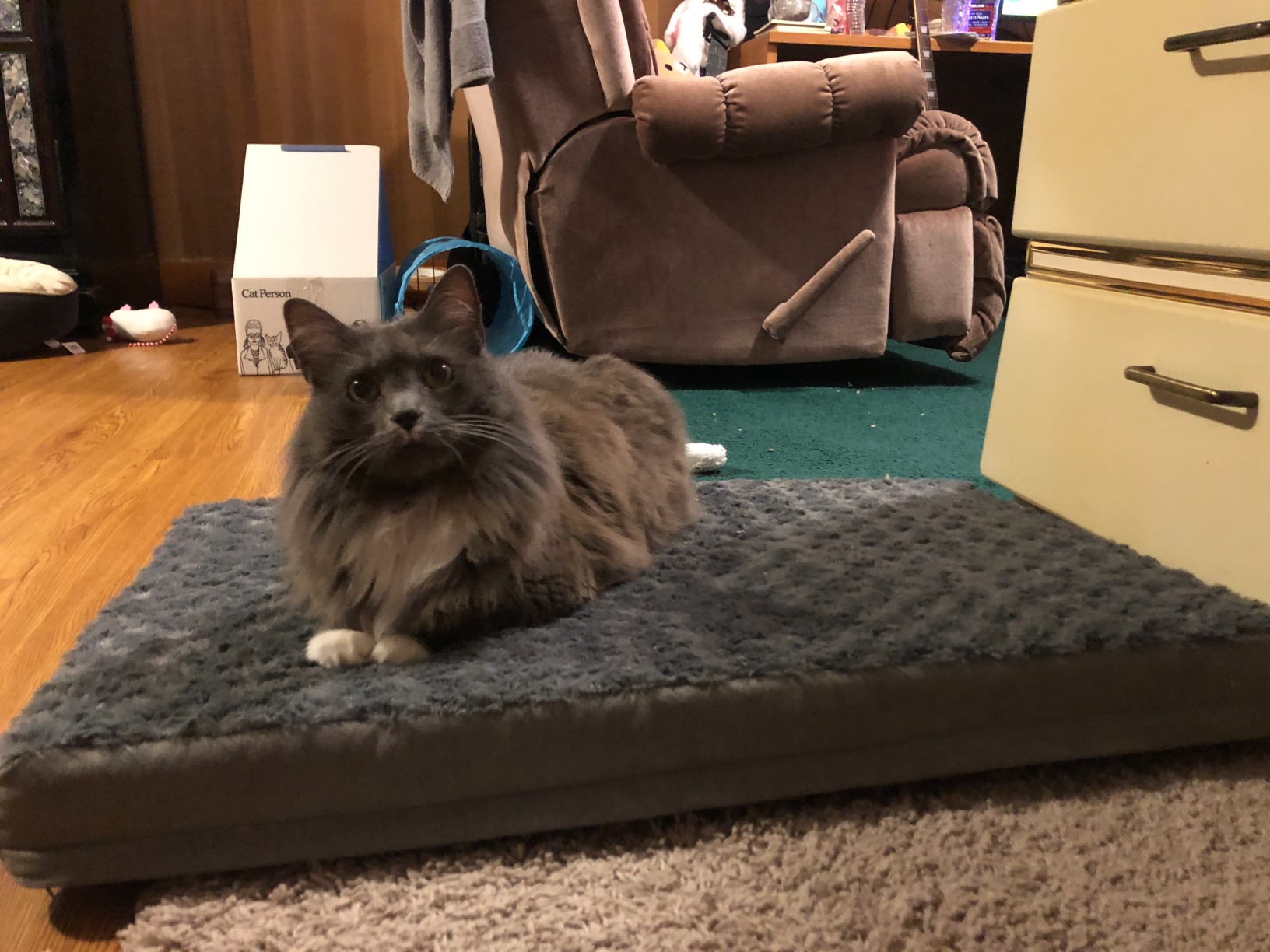 Orthopedic Memory Foam Bed for Large Dogs, Waterproof Cooling Pet Mats for Crate with Removable Washable Cover, Ideal for Arthritic Dogs, L(35inch,65Lbs) customer photo 2