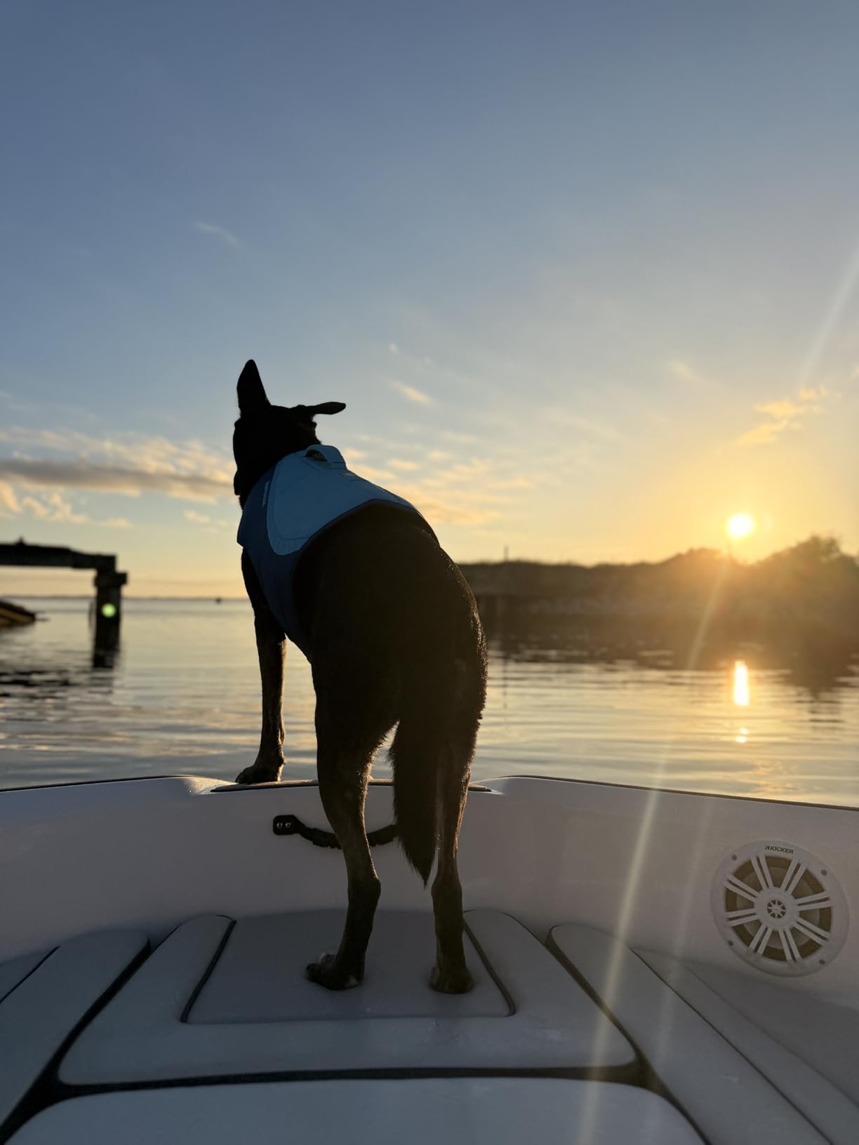 Ruffwear Float Coat Dog Life Jacket, Premium Buoyancy Swim Vest with Lift Handle, Secure Fit & Reflective Trim, Medium customer photo 2