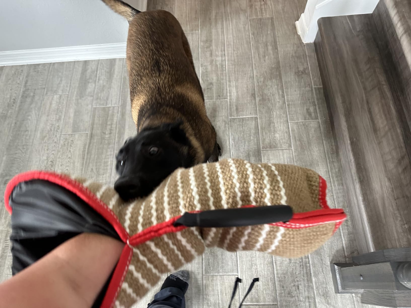 DGSL Dog Training Set - Dog Bite Sleeve, Pillow Tug Toy, Stick - Professional Training Equipment for Biting, Interactive, Fetch, K9, Puppy (Transverse Stripe) customer photo 2