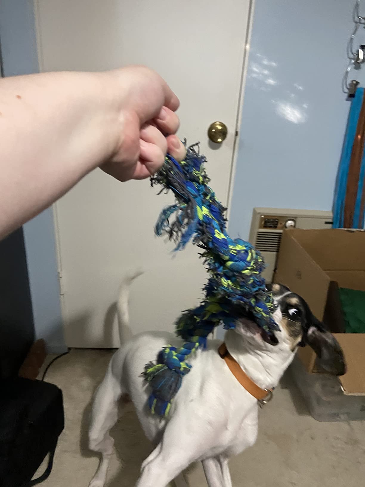 Feeko Heavy Duty Dog Rope Toys for Large Breed Aggressive Chewers, 2 Pack Indestructible Teeth Cleaning Tug of War Toy customer photo 2