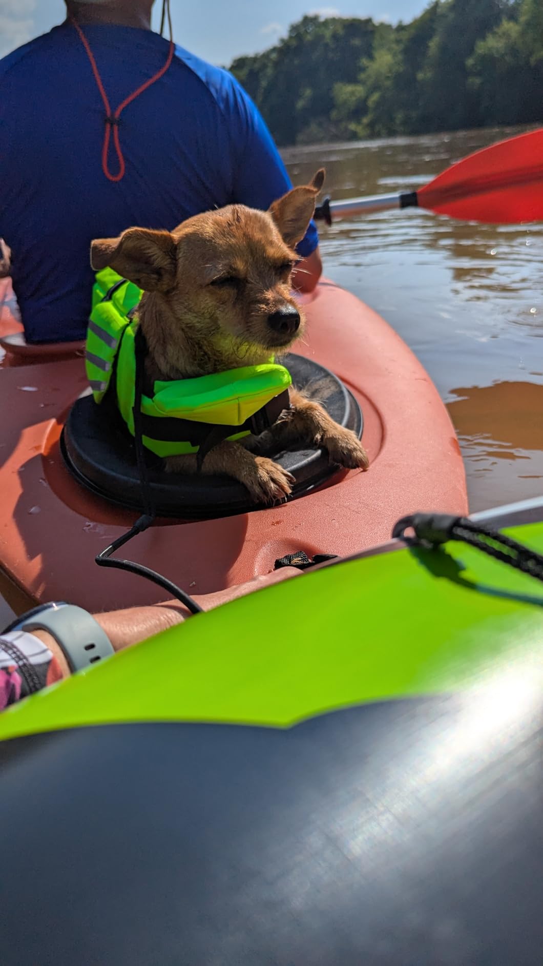 Petglad Dog Life Jacket, Cute Wings Adjustable Dog Life Vest with Chin Float and Handle for Swimming Boating Reflective High Buoyancy Swim Float Vest for Small Medium Large Dogs (Pink, XS) customer photo 2
