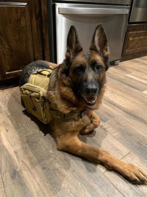 Himal Outdoors Dog Backpack & Saddle Bag, Tactical Hiking Backpack for Large Dogs with Side Pockets & Adjustable Strap customer photo 2