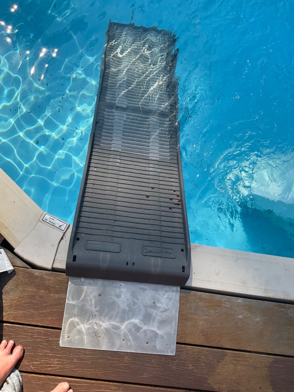 PetStep Dog Ramp for Pools - (Standard Legs, Khaki/Beige)- Small and Large Dog Pool Ramp for Above-Ground and In-Ground Pools customer photo 1