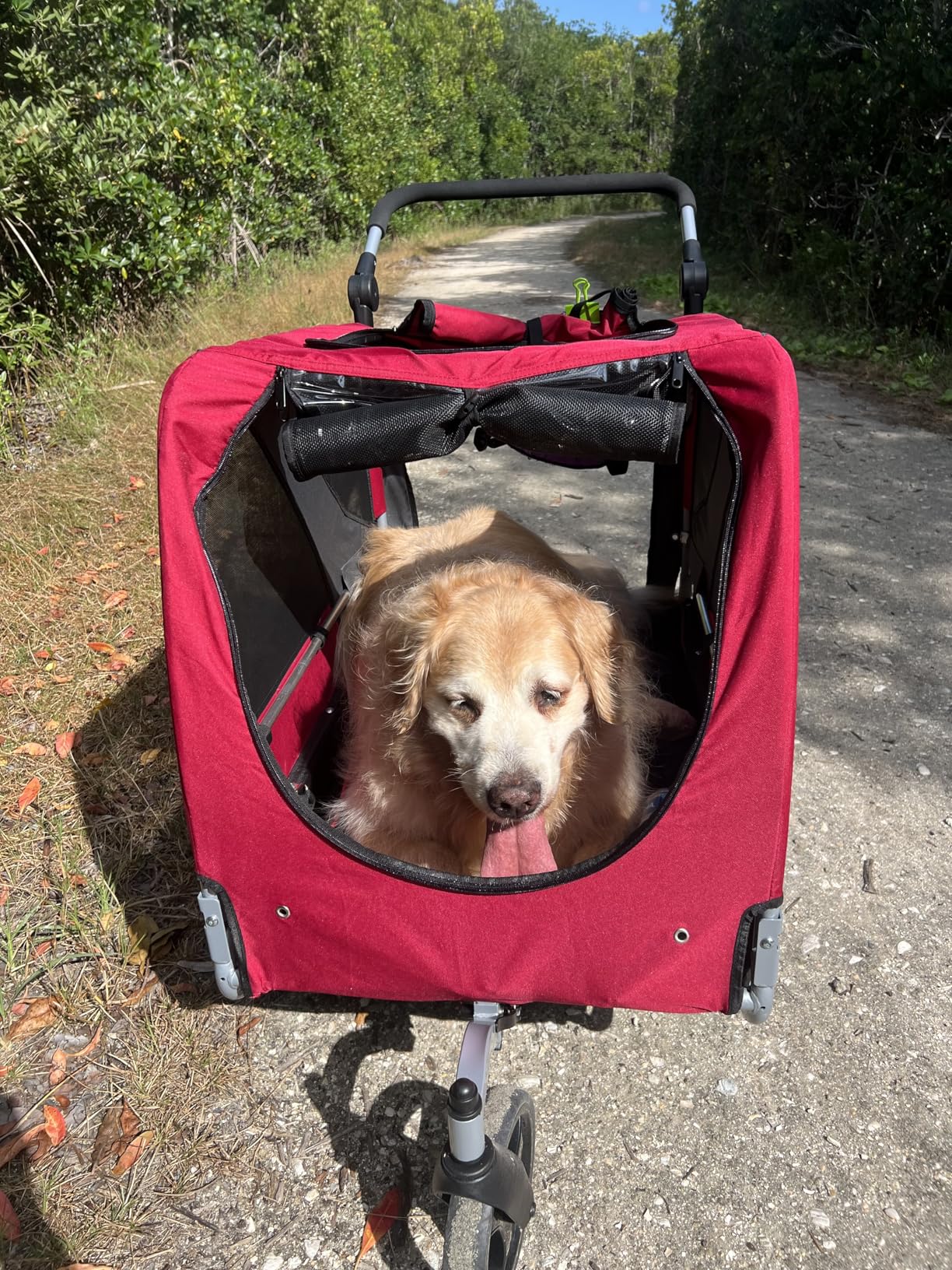 DOGGYHUT® Premium Large/XL Pet Bike Trailer & Stroller for Large Sized Dog or Multiple Small Dogs,Low Center of Gravity,Parking Brakes,Easy Folding Frame,Bicycle Carrier customer photo 2