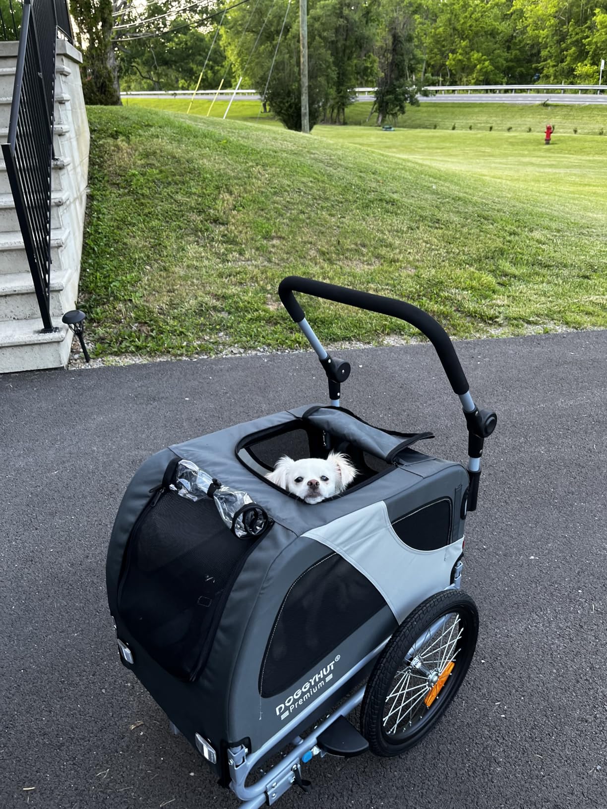 DOGGYHUT Premium M Pet Bike Trailer & Stroller 2-in-1,for Dogs up to 50 lbs,Parking Brakes,Easy Folding Cart Frame, Universal Bicycle Coupler,E-Bike Friendly customer photo 1
