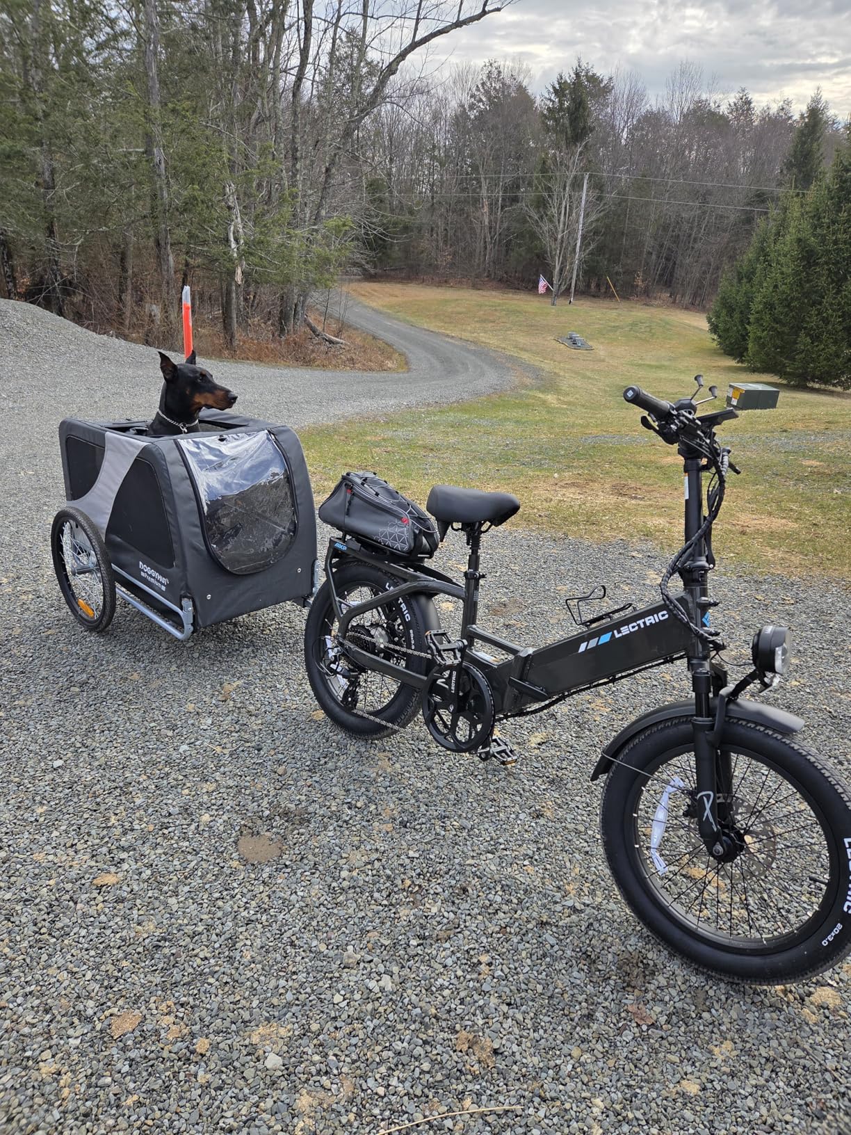 DOGGYHUT Premium XL Pet Bike Trailer for Large Dog or Multiple Small Dogs, Up to 100 lbs,Dog Bicycle Carrier,Low Center of Gravity,Easy Folding Frame Cart customer photo 1