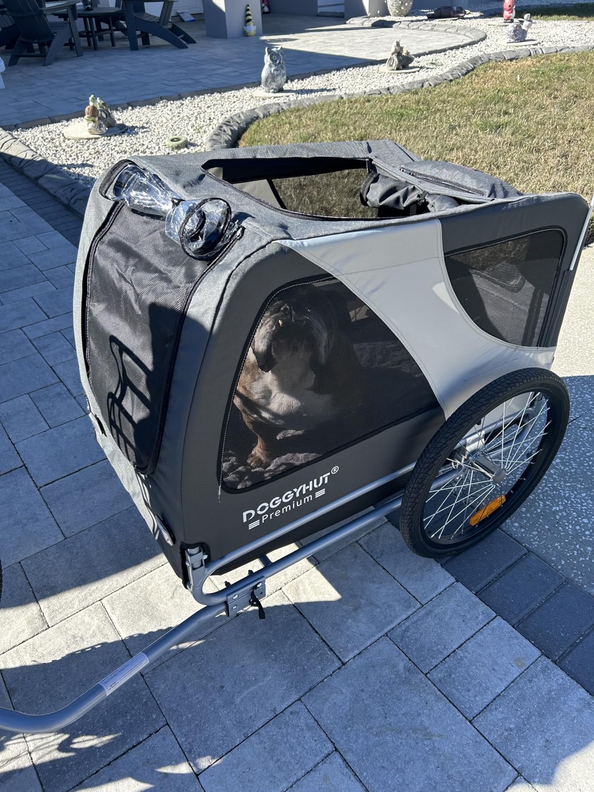 DOGGYHUT Premium XL Pet Bike Trailer for Large Dog or Multiple Small Dogs, Up to 100 lbs,Dog Bicycle Carrier,Low Center of Gravity,Easy Folding Frame Cart customer photo 2
