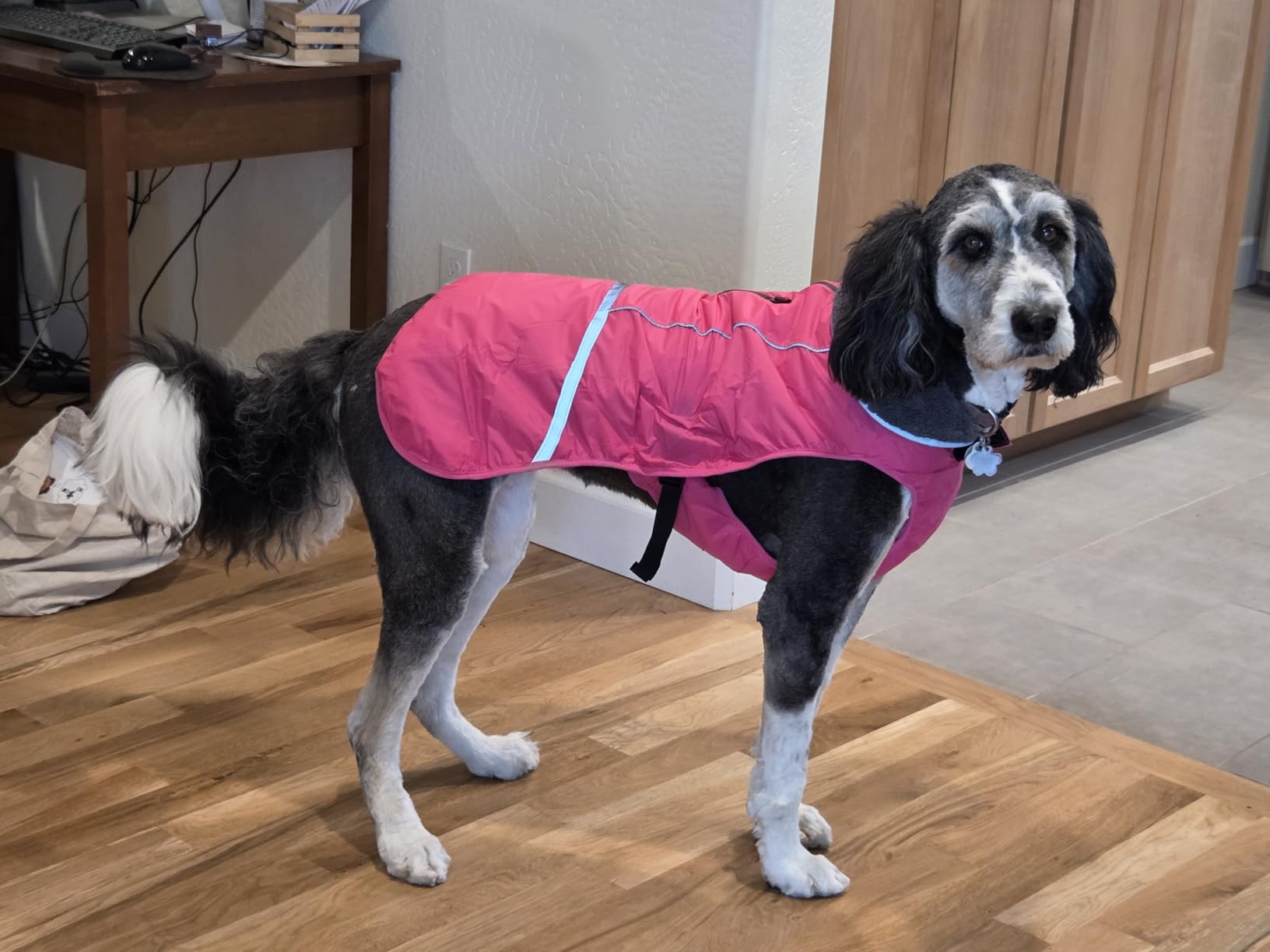 Doglay Dog Coat, Waterproof Dog Jacket Pet Winter Coat for Cold Weather with Thicken Furry Collar, Reflective Puppy Winter Jacket Warm Fleece Lining for Small Medium Large Pets customer photo 1