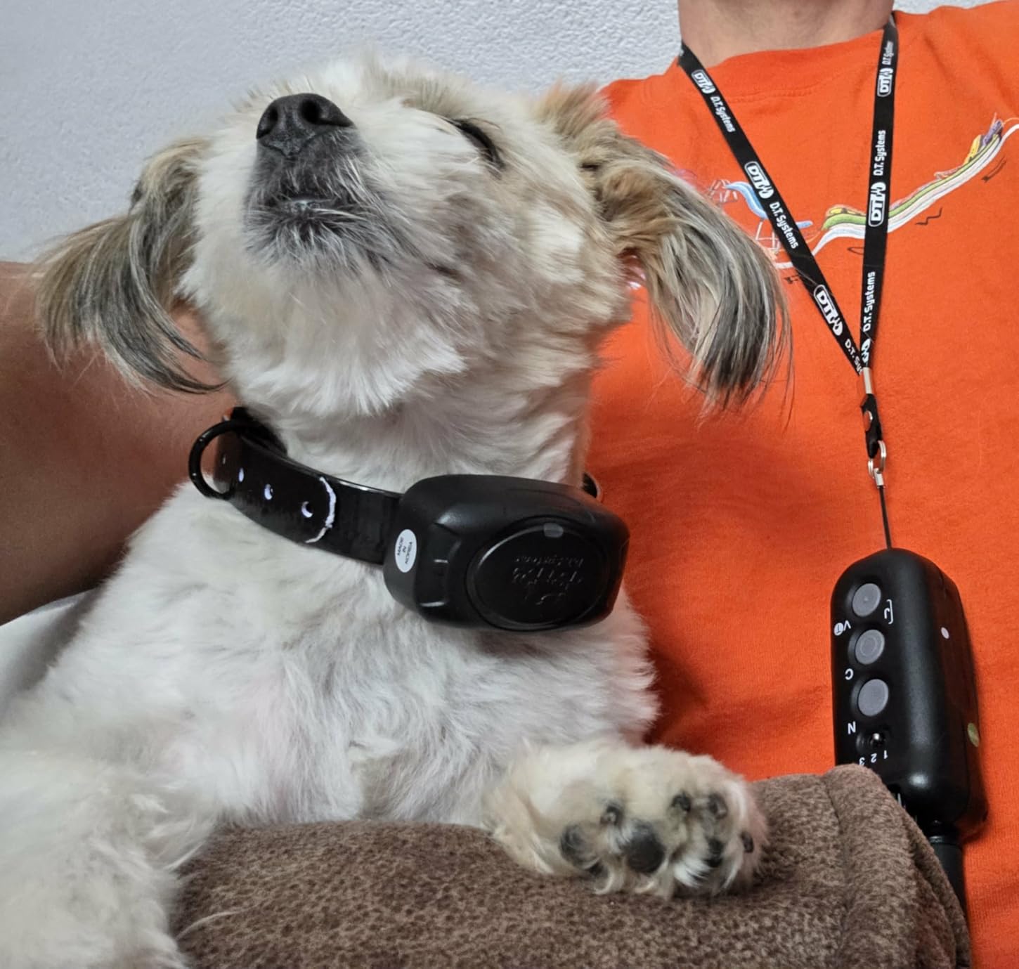 DD700 D.O.G. Director 700 Waterproof Remote Dog Training E-Collar, 700-Yard Range, 10 Stimulation Levels, Vibration Assist & Beeping Tone customer photo 1