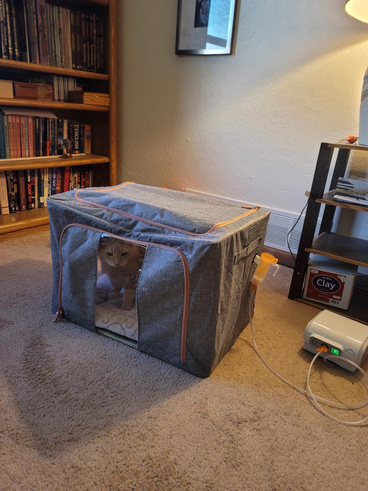 REDDOUDOU Puppy Incubator, Pet Atomization Oxygen Box, Incubator for Kitten and Puppies, Pet Nncubator with Nebulization Kit and Pets Blanket 100L customer photo 2