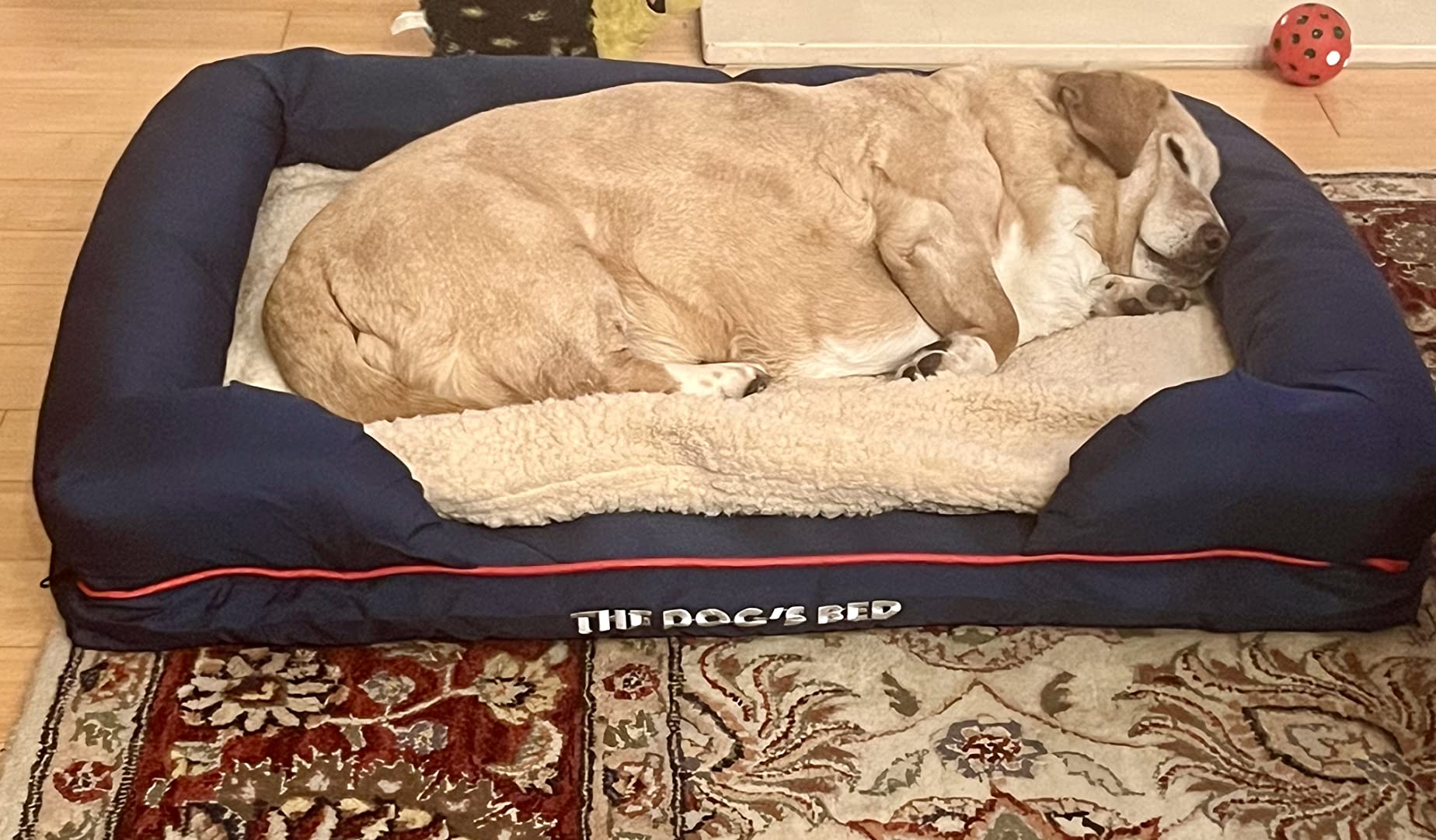 The Dog's Bed Orthopedic Memory Foam Dog Bed with Bolsters for Medium Dogs, High Density Support Mattress, Low Front Entry, Removable Washable Cover, Oxford Fabric, Grey with Black Trim, Medium customer photo 2