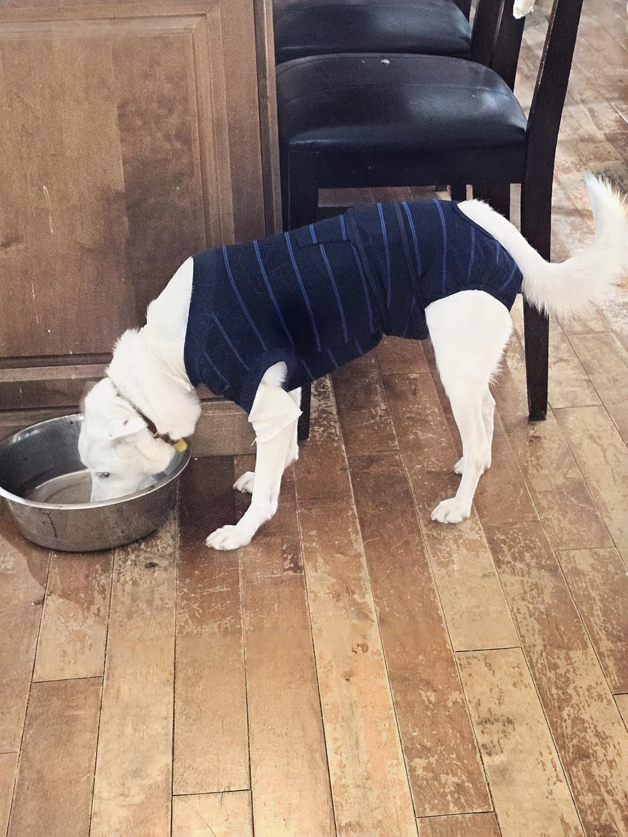 Kuoser Dog Surgery Recovery Suit, Soft Breathable Dog Recovery Suit for Female Spay Male Nueuter, Anti Licking Puppy Onesie Pet Surgical Suit for Dogs Abdominal Wounds Skin Disease, Blue Strips XL customer photo 1