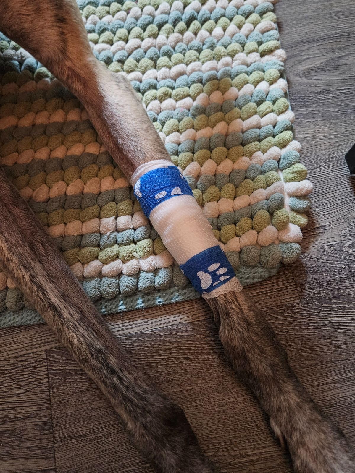 Dog First Aid Kit - Vet-Approved Emergency Kit for Dogs & Cats - Essential customer photo 2