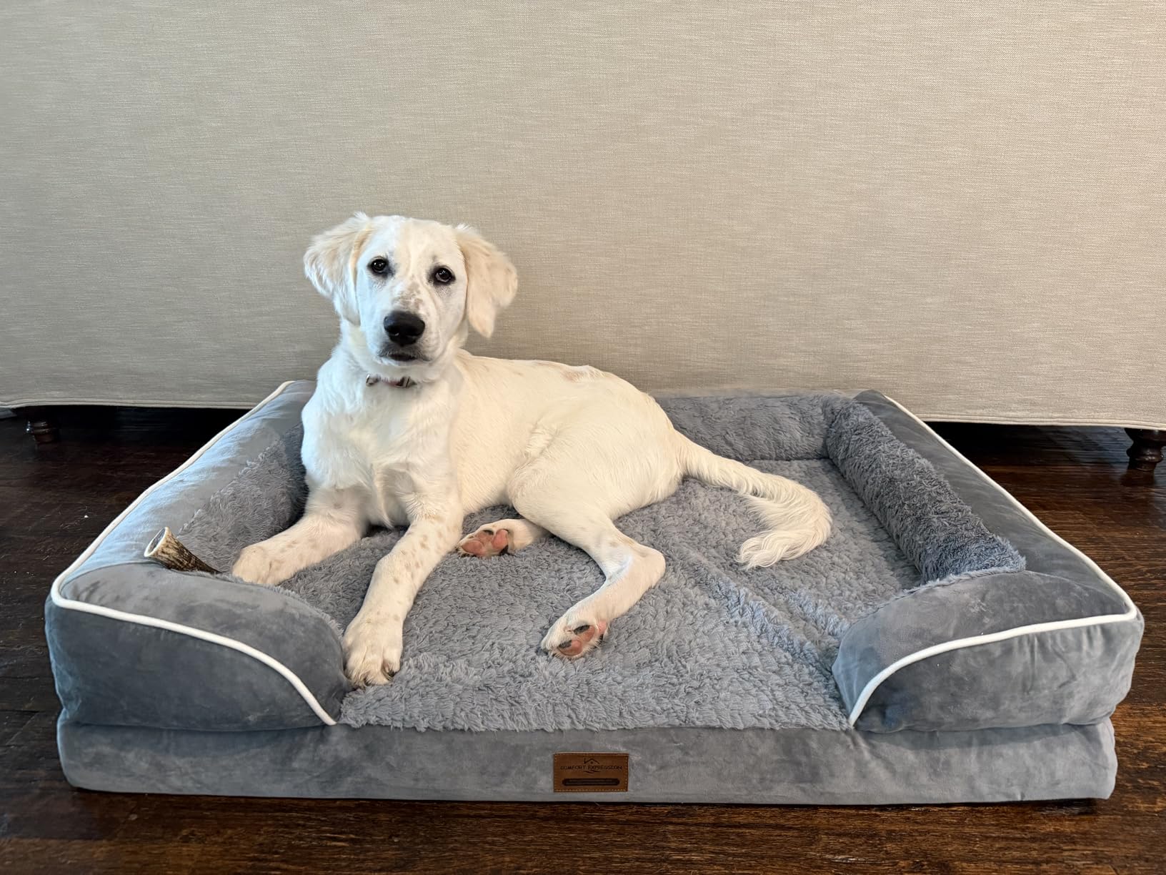 Comfort Expression Orthopedic Dog Bed for Extra Large Dogs 42x30 Inch, Waterproof Egg Crate Foam XL Pet Bed with Removable Bolsters, Dog Couch with Washable Cover & Non-Slip Bottom, Grey customer photo 1
