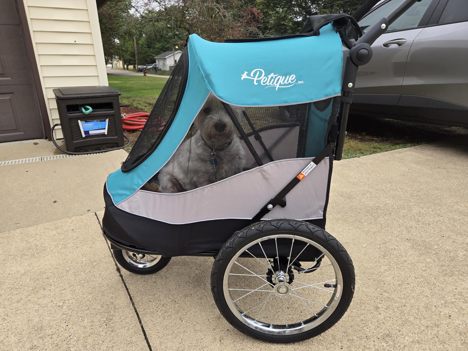 PETIQUE Trailblazer Jogger, Dog Cart for Medium Size Pets, Ventilated Pet Stroller for Cats & Dogs, Turquoise customer photo 2