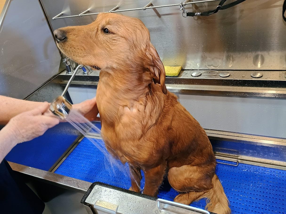 KANIS Professional Dog Washing Station 304 Stainless Steel Pet Wash Sink & Grooming Bathtub w/Shower, Floor Grates and Storage for Large, Medium & Small Pets (Silver, 50 Inches, Left Ramp, 1 Drawer) customer photo 2