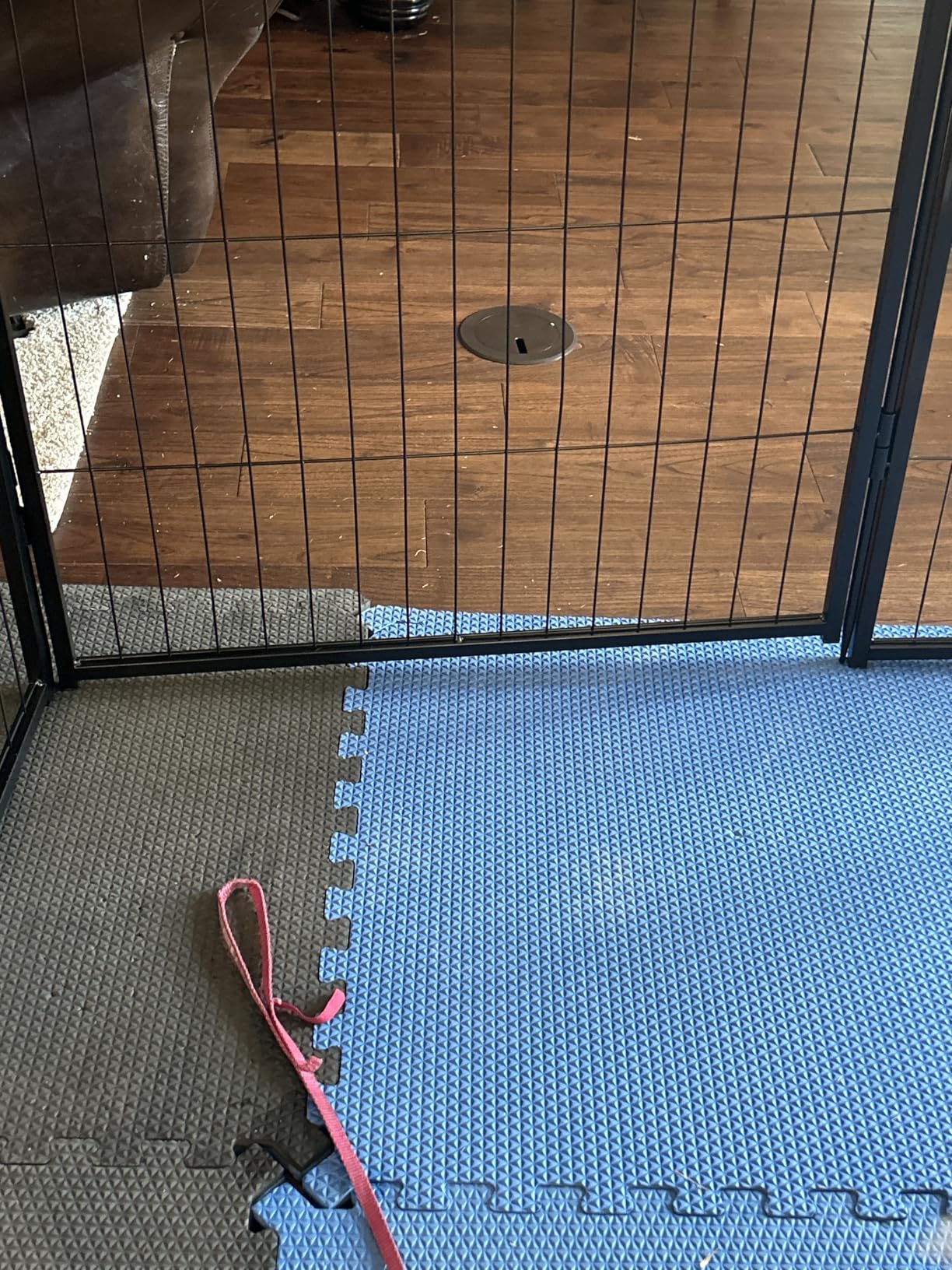 FXW Rollick Unleashed Dog Playpen for Indoor, Yard, RV Camping, 40 inch 8 Panels for Medium and Large Dogs, Black customer photo 1
