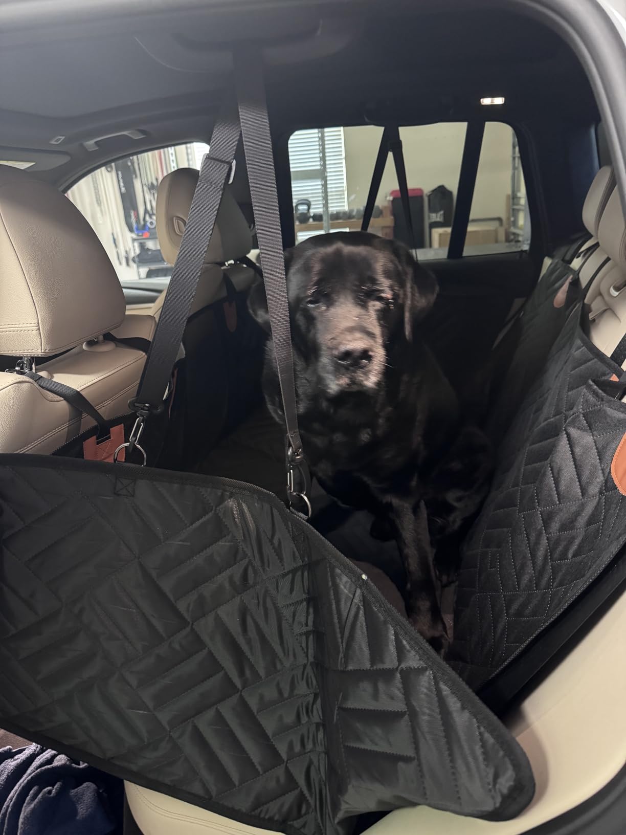 YJGF Back Seat Extender,Dog Seat Cover for Back Seat,Hard Bottom Car Seat Cover for Dogs,Dog Hammock for Car,Back Seat Pet Cover for Dogs(Black,for Car/SUV/Small Truck) customer photo 2