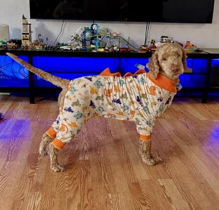LovinPet Large Dog Pajamas, Anti Licking, Recovery Suit, Lightweight Jurassic Knit, UV for Large Dogs/L customer photo 1