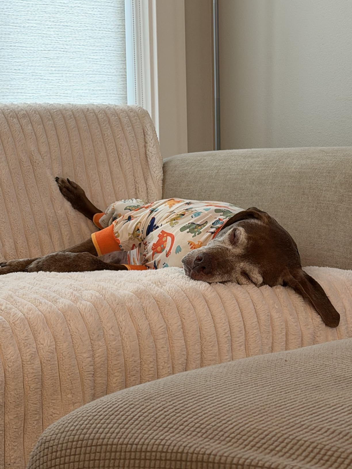 LovinPet Large Dog Pajamas, Anti Licking, Recovery Suit, Lightweight Jurassic Knit, UV for Large Dogs/L customer photo 2