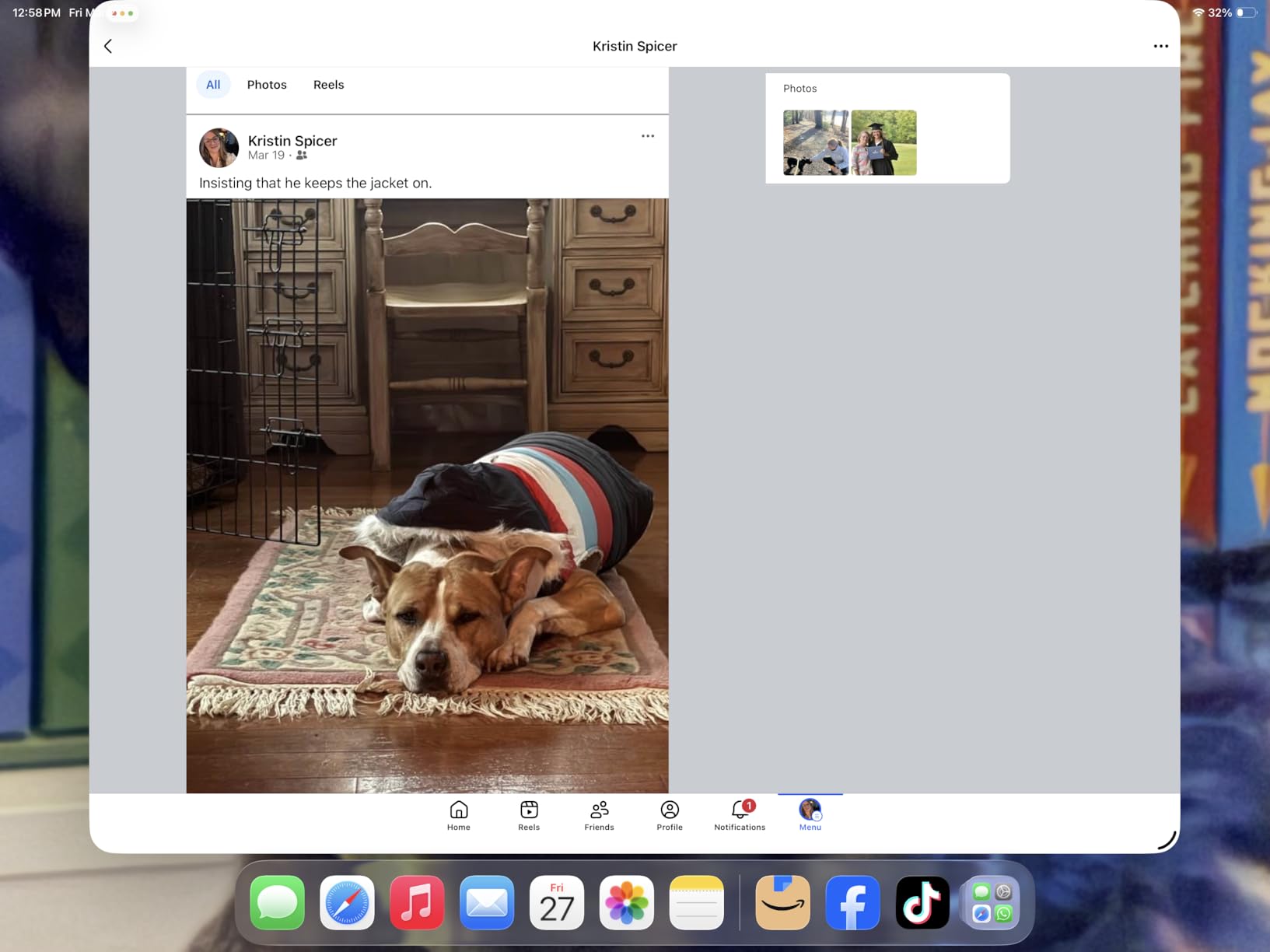 HDE Dog Puffer Jacket Fleece Lined Warm Dog Parka Winter Coat with Harness Hole Navy Retro Stripe - L customer photo 1
