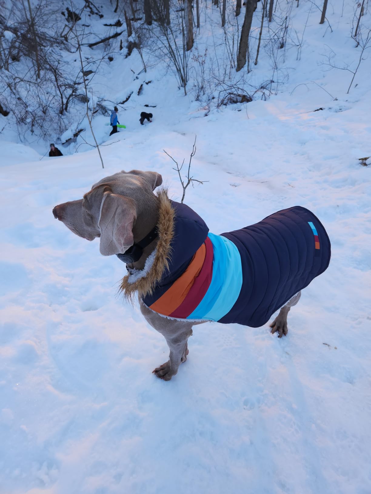 HDE Dog Puffer Jacket Fleece Lined Warm Dog Parka Winter Coat with Harness Hole Navy Retro Stripe - L customer photo 2