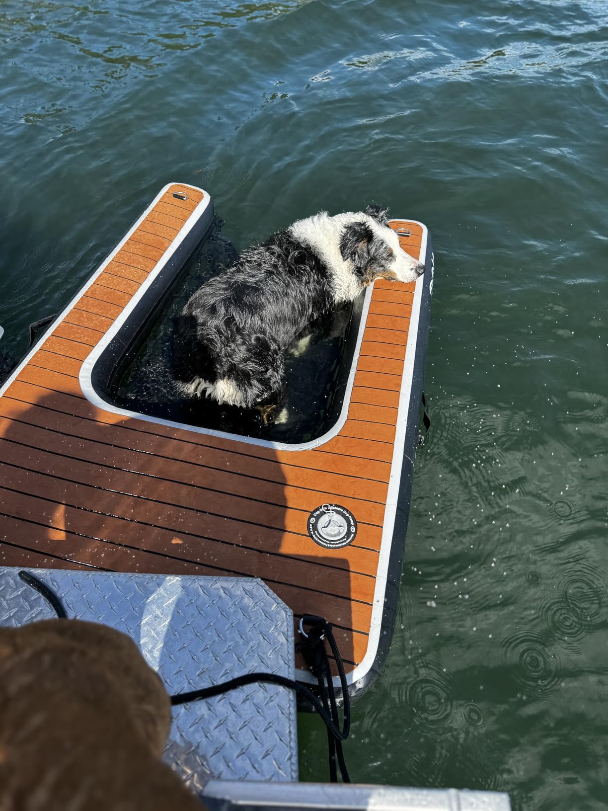 DOK Dog-DOK Inflatable Dock Platform: Safe & Easy Water Access for Dogs Up to 230 lbs; Floating Non-Slip EVA Foam with Dog Boat Ramp for Pool, Dock, & Lake | Military Grade & High Visibility customer photo 1