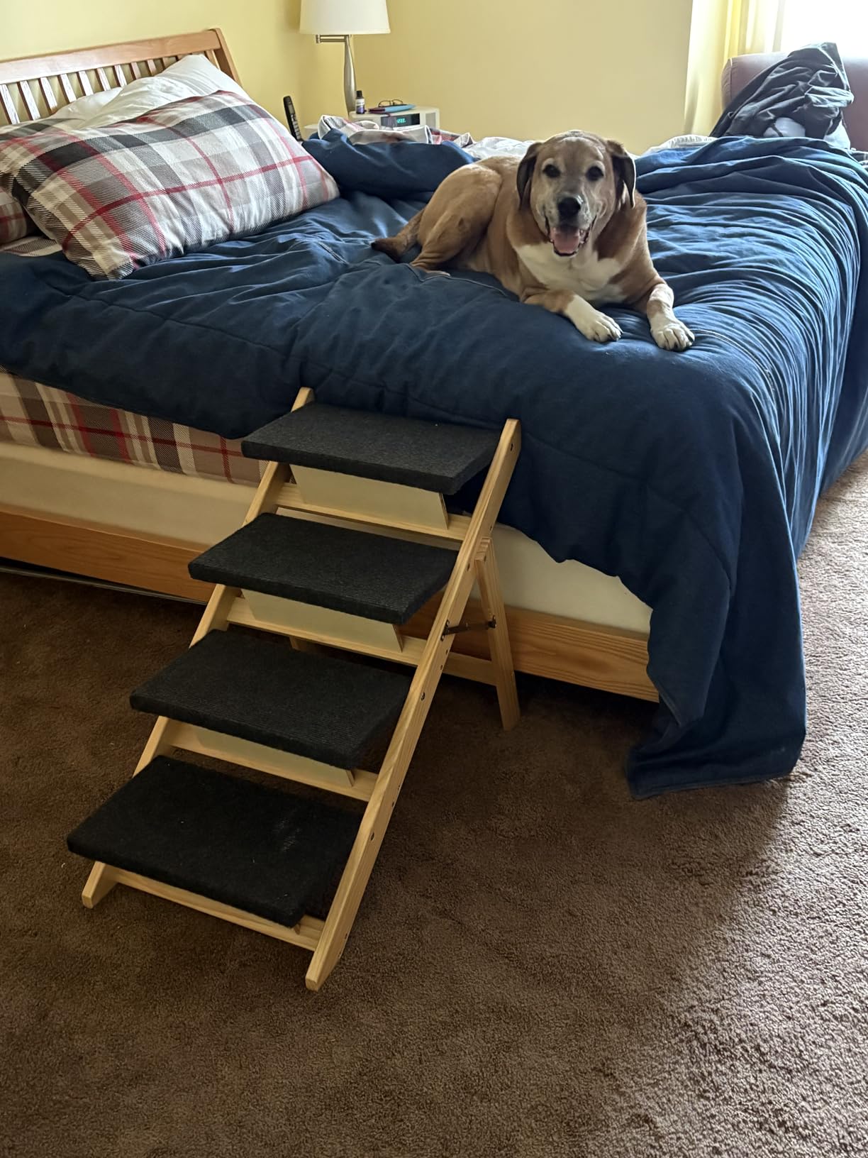 BRIKY 2-in-1 Dog Stairs/Ramp with 4 Steps, Foldable Dog Stairs for High Beds Cars Couch, Durable Wooden Pet Stairs for Small Medium Large Dogs, No Assembly Required customer photo 2