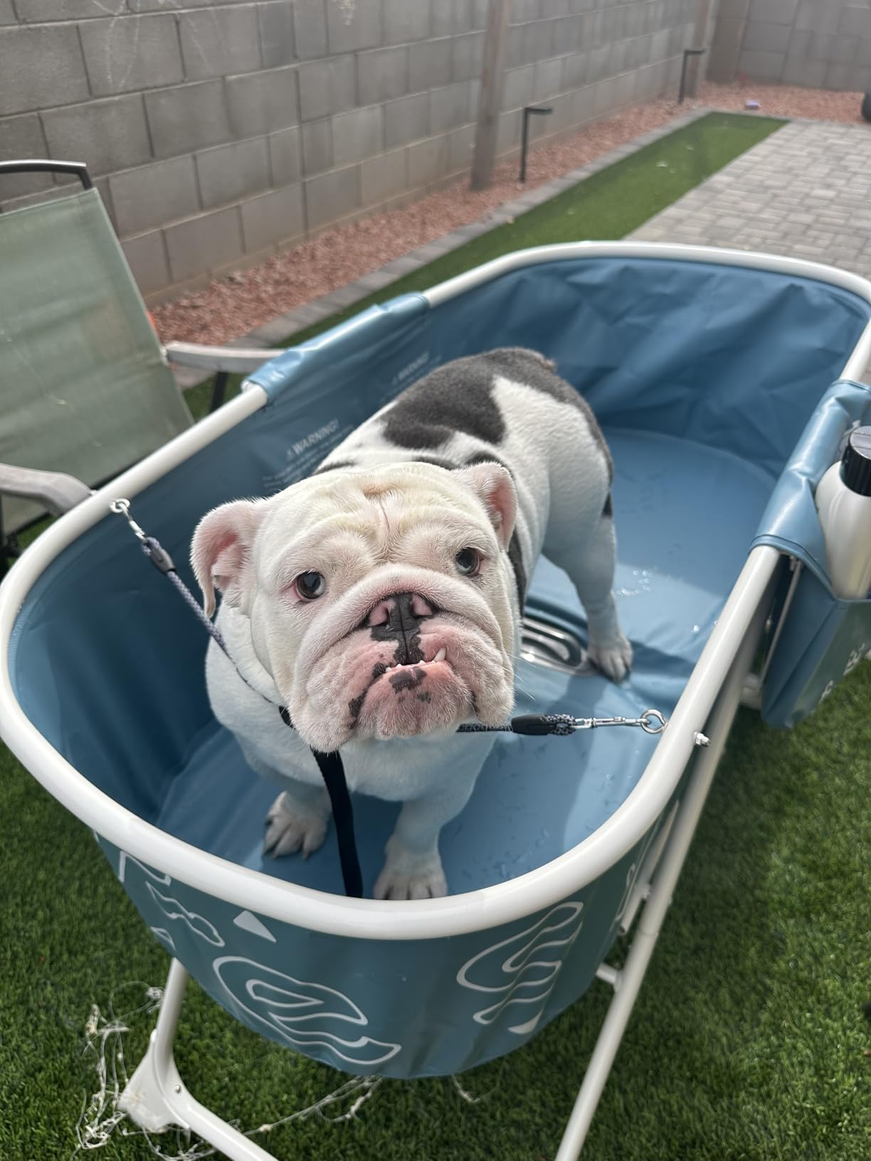 Furesh Foldable Dog Washing Station for Large Dogs with Stairs customer photo 2