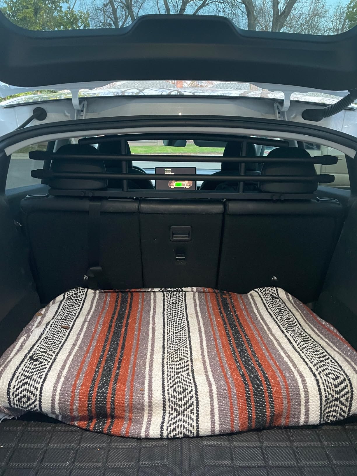 for Tesla Model Y Dog Barrier Adjustable Large Pet Protective Barrier Anti-bite Heavy-Duty Metal Stainless Steel for Dog Travel Accessories 2021 2022 2023 2024 customer photo 1
