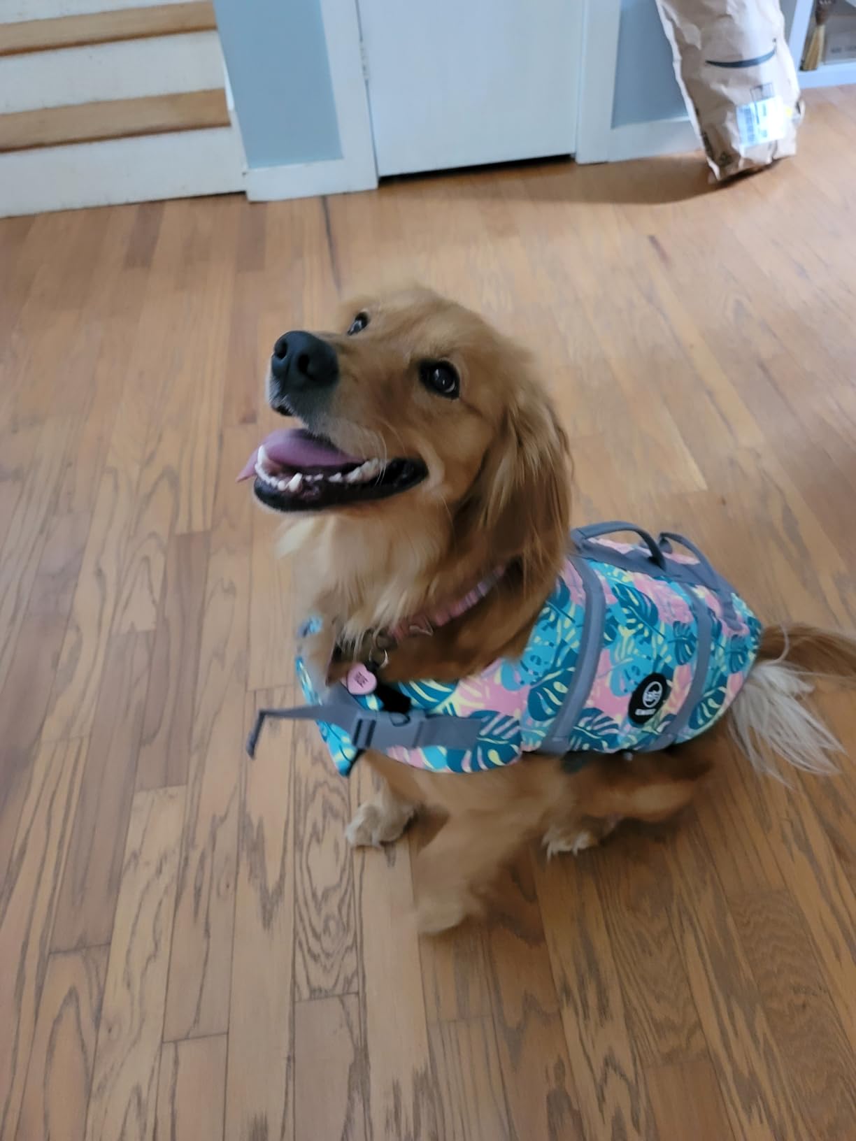 EMUST Dog Life Preserver, Pet Life Vests for Swimming, Beach Boating with High Buoyancy, Dog Flotation Vest for Small/Medium/Large Dogs, L, NewSolidpink customer photo 2