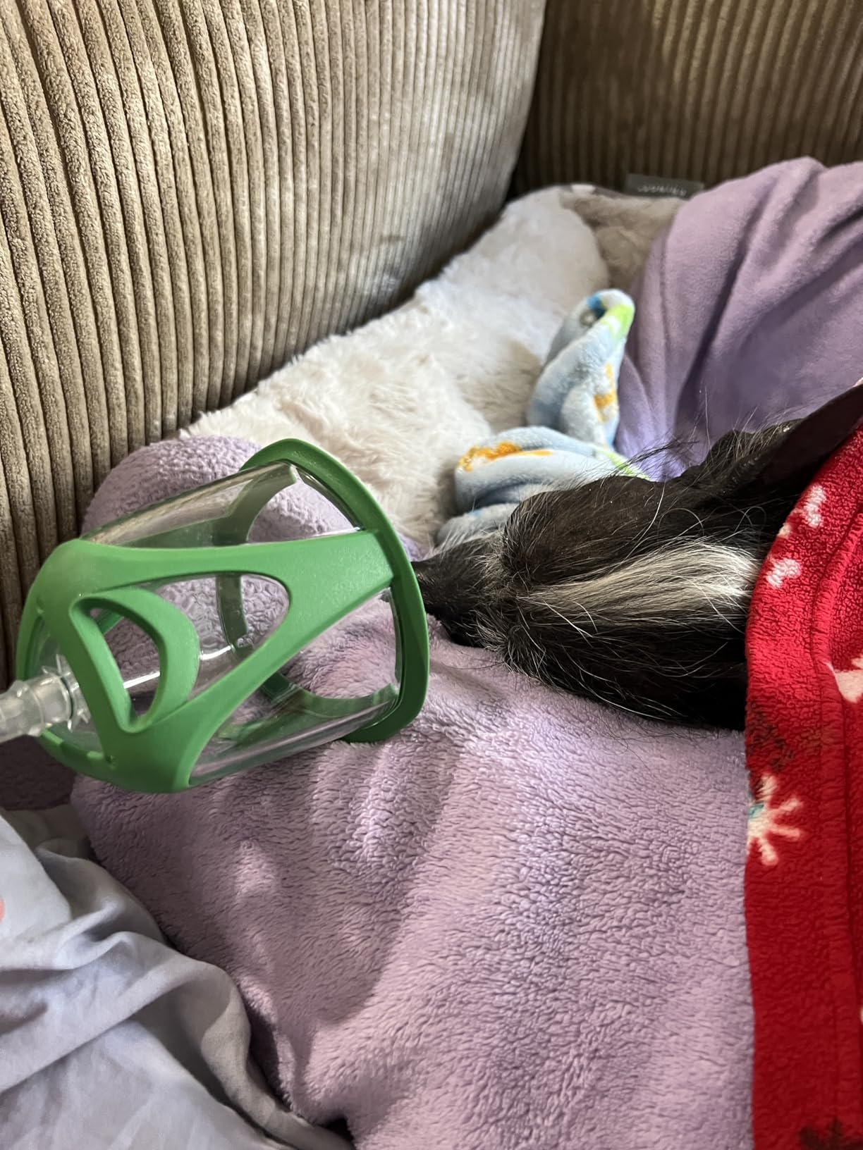PureVent Pet Oxygen Mask - Dogs, Cats, and Other Pets - with 6 Feet of Oxygen Tubing - Used by Veterinarians customer photo 2