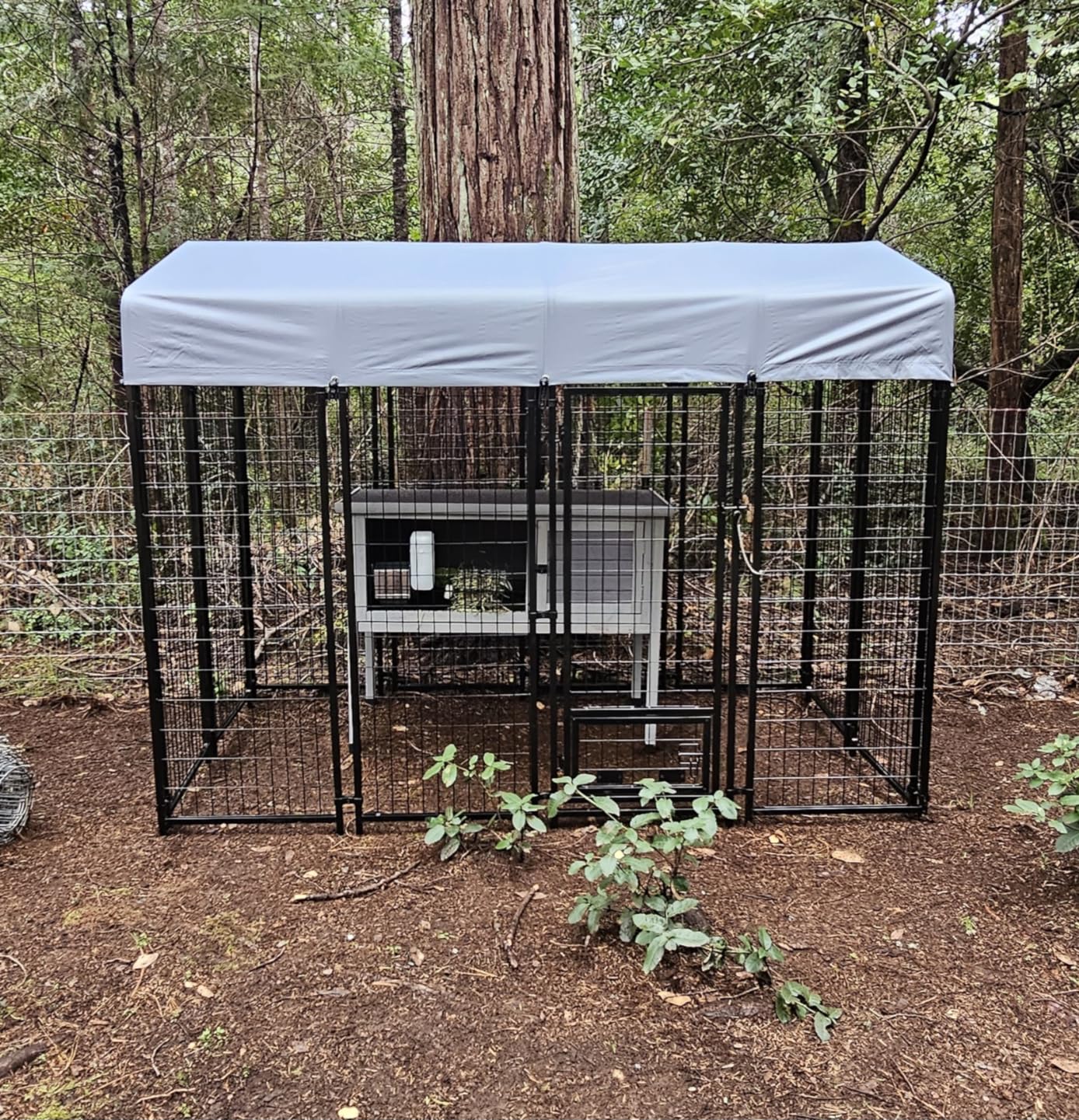 LEMBERI 8x4x6 FT Outdoor Dog Kennel for Large Dogs, Heavy Duty Welded Wire Steel Dog Playpen Fence with Secure Lock, Pet Pen with UV-Resistant Waterproof Roof Cover for Outside customer photo 1