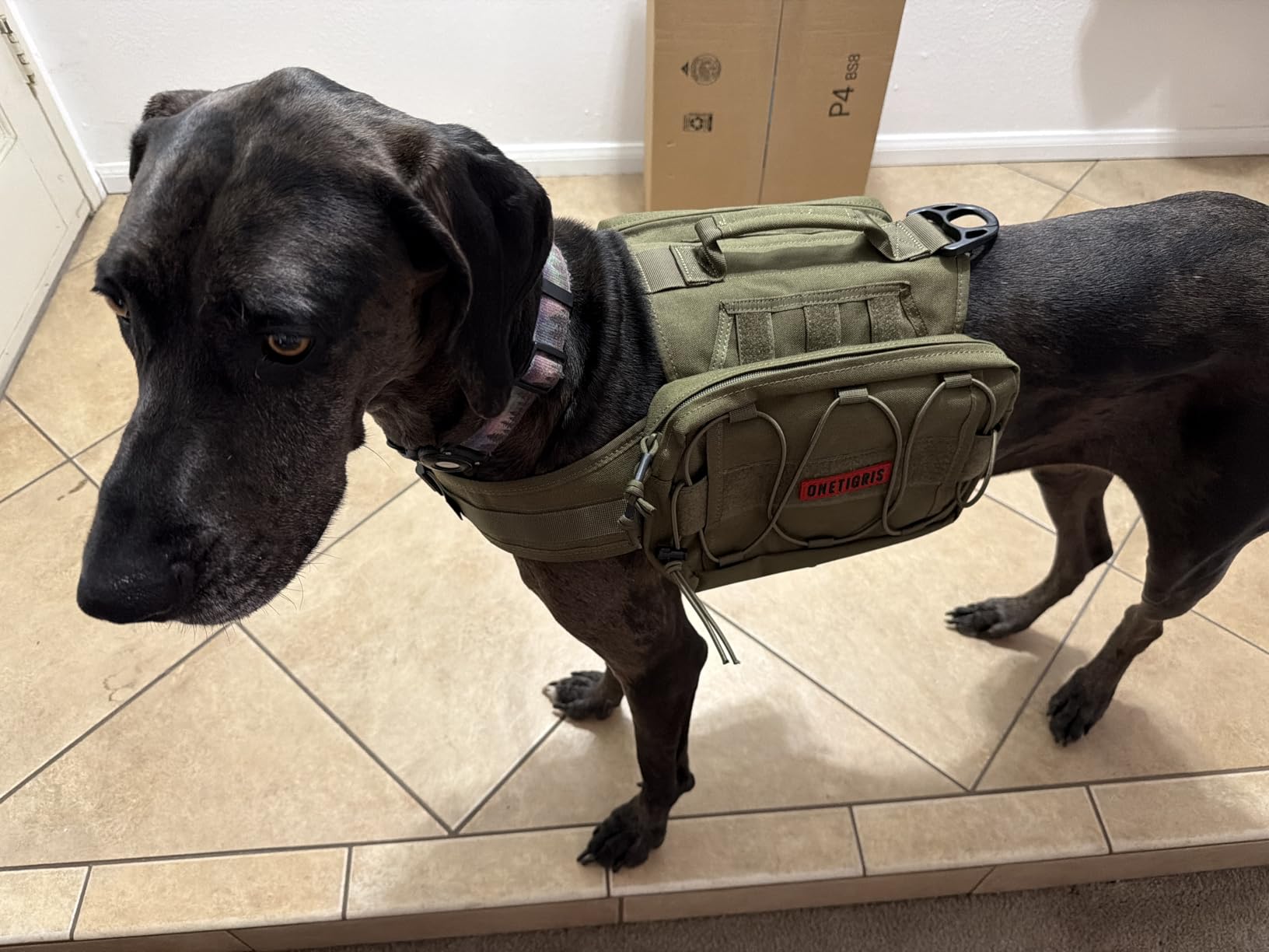 OneTigris Dog Backpack for Medium & Large Dogs, Mammoth Nylon Dog Pack Tactical Backpack Harness with Side Pockets for Hiking Walking Training Running customer photo 2