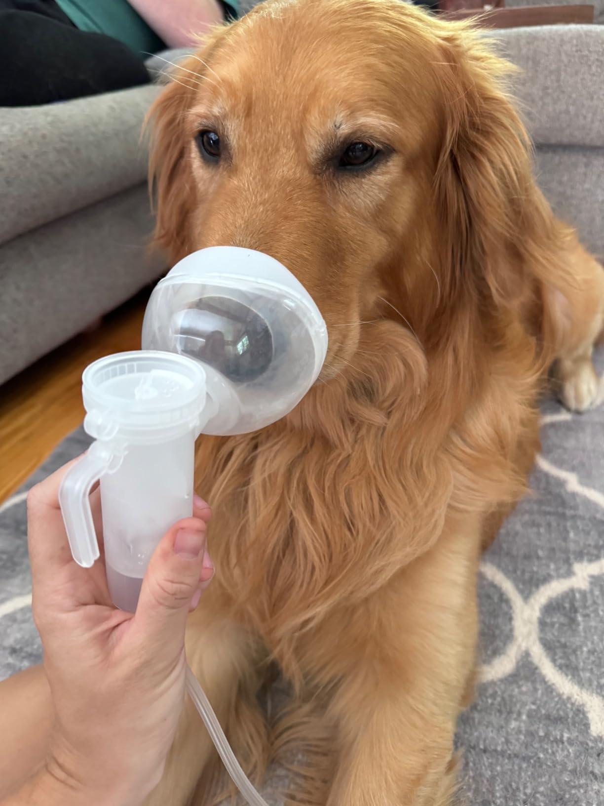 Canine Nebulizer Cup and Inhaler Mask for Cats and Dogs, Oxygen Mask for Pets (Not Including Nebulizer Machine) (S) customer photo 1